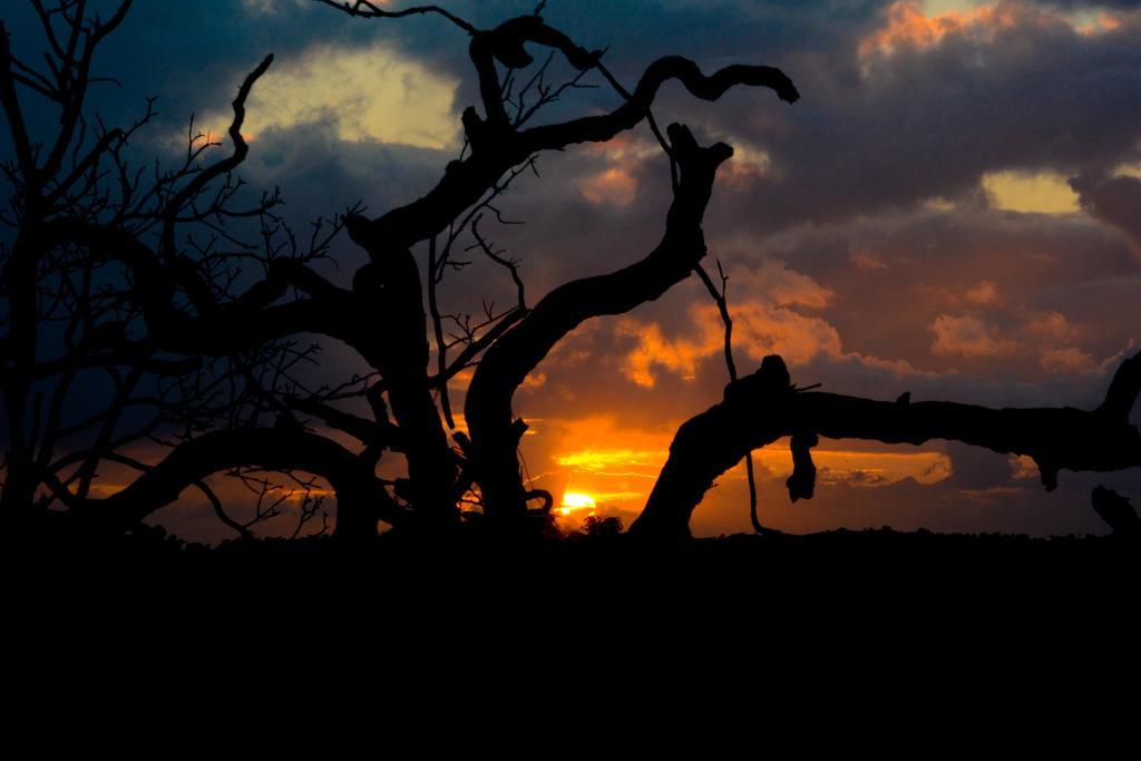 Pousada Lua Cheia Japaratinga Buitenkant foto
